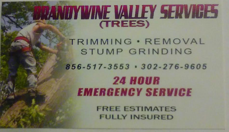 Brandywine Valley Services logo